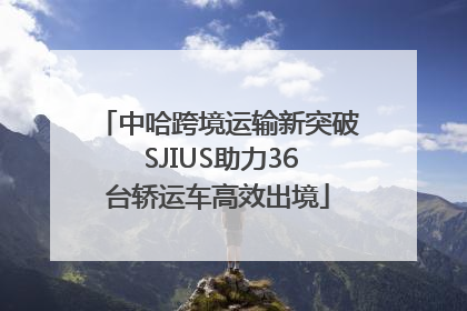中哈跨境运输新突破 SJIUS助力36台轿运车高效出境