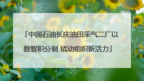 中国石油长庆油田采气二厂以数智积分制 撬动组织新活力