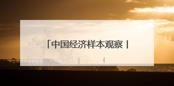 中国经济样本观察丨年创汇千万美元！小提琴之音“响”彻世界