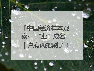 中国经济样本观察·一“业”成名｜真有两把刷子！“刷”出30亿级“颜值经济”