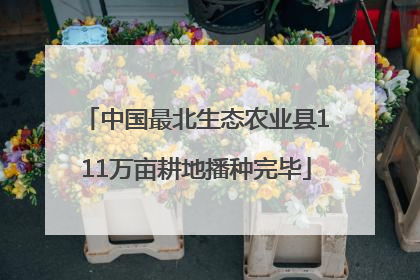 中国最北生态农业县111万亩耕地播种完毕