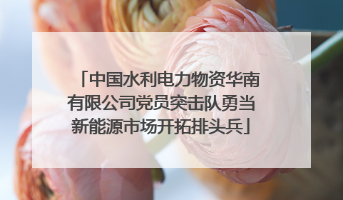 中国水利电力物资华南有限公司党员突击队勇当新能源市场开拓排头兵