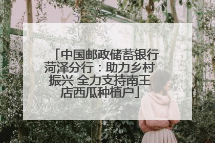 中国邮政储蓄银行菏泽分行：助力乡村振兴 全力支持南王店西瓜种植户