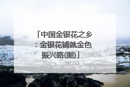中国金银花之乡：金银花铺就金色振兴路(图)
