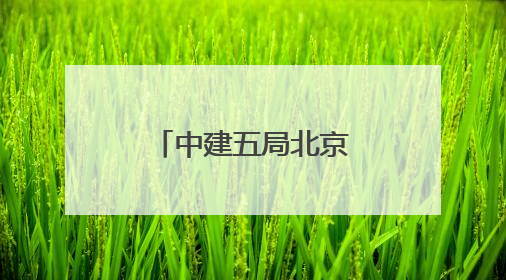 中建五局北京公司举办夏季职工健步走活动