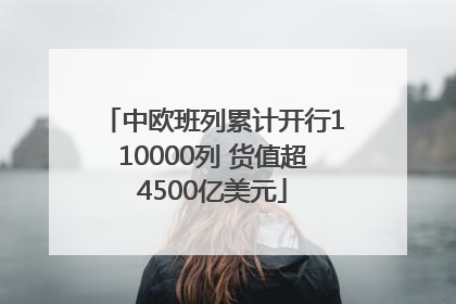 中欧班列累计开行110000列 货值超4500亿美元