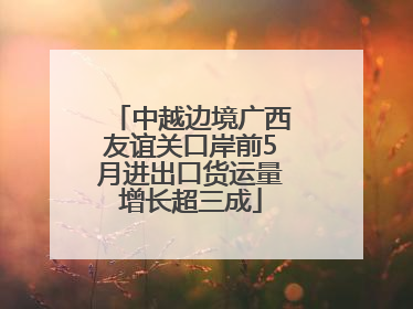 中越边境广西友谊关口岸前5月进出口货运量增长超三成