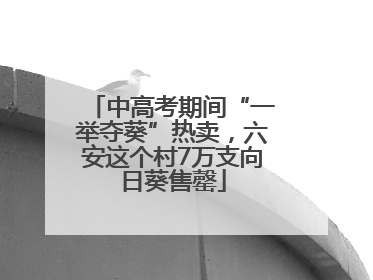 中高考期间“一举夺葵”热卖，六安这个村7万支向日葵售罄