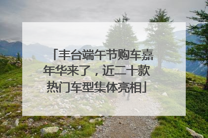 丰台端午节购车嘉年华来了，近二十款热门车型集体亮相