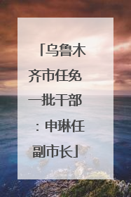 乌鲁木齐市任免一批干部：申琳任副市长