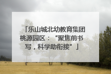 乐山城北幼教育集团桃源园区：“聚焦前书写，科学助衔接”