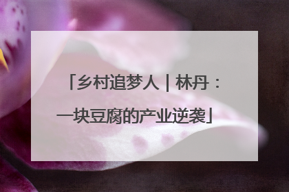 乡村追梦人｜林丹：一块豆腐的产业逆袭