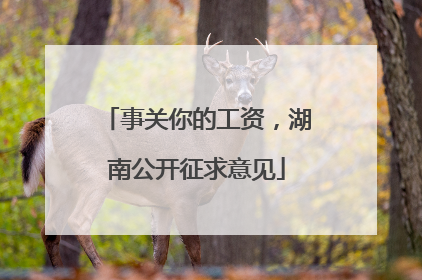 事关你的工资，湖南公开征求意见