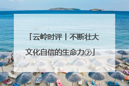 云岭时评丨不断壮大文化自信的生命力②