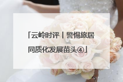 云岭时评丨警惕旅居同质化发展苗头④