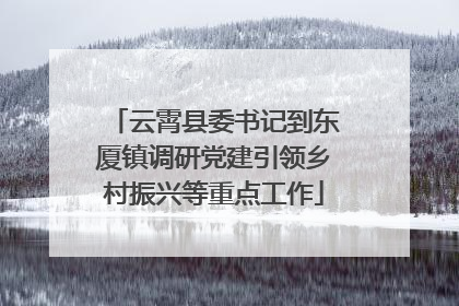 云霄县委书记到东厦镇调研党建引领乡村振兴等重点工作