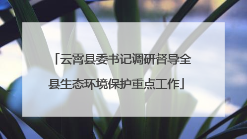 云霄县委书记调研督导全县生态环境保护重点工作