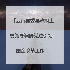 云霄县委县政府主要领导调研党建引领国企改革工作