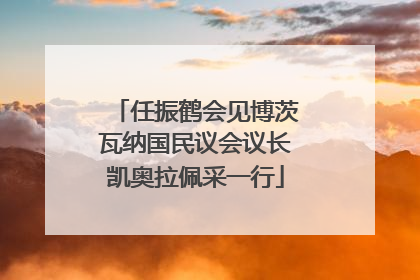 任振鹤会见博茨瓦纳国民议会议长凯奥拉佩采一行