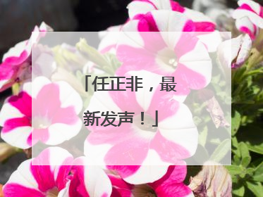 任正非，最新发声！