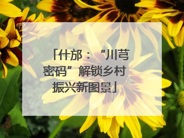 什邡：“川芎密码”解锁乡村振兴新图景
