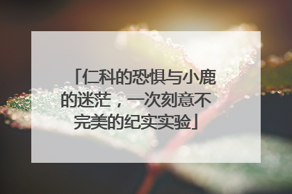 仁科的恐惧与小鹿的迷茫，一次刻意不完美的纪实实验