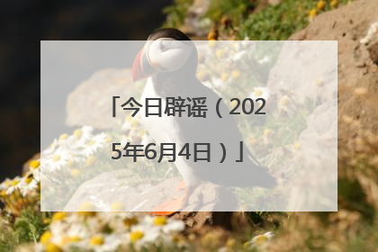 今日辟谣（2025年6月4日）