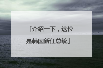 介绍一下，这位是韩国新任总统