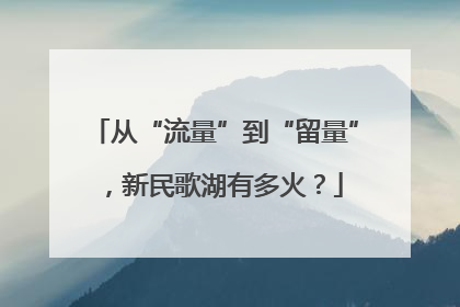 从“流量”到“留量”，新民歌湖有多火？