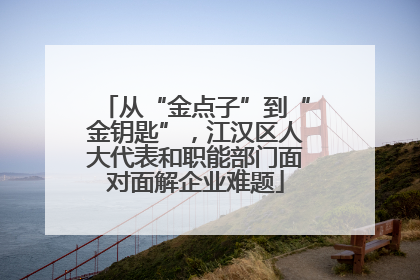 从“金点子”到“金钥匙”，江汉区人大代表和职能部门面对面解企业难题