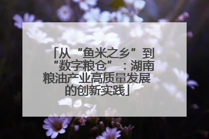 从“鱼米之乡”到“数字粮仓”：湖南粮油产业高质量发展的创新实践