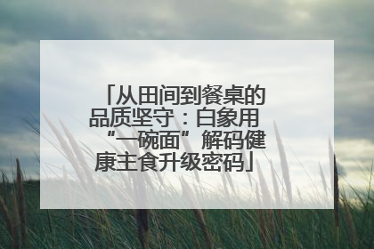 从田间到餐桌的品质坚守：白象用“一碗面”解码健康主食升级密码