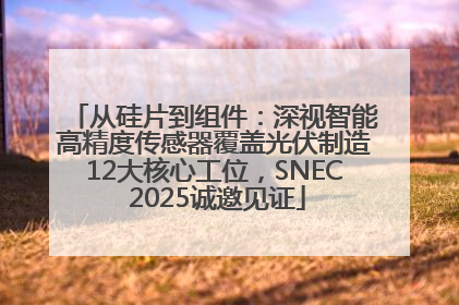 从硅片到组件：深视智能高精度传感器覆盖光伏制造12大核心工位，SNEC 2025诚邀见证