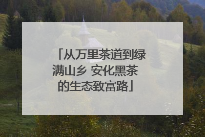 从万里茶道到绿满山乡 安化黑茶的生态致富路