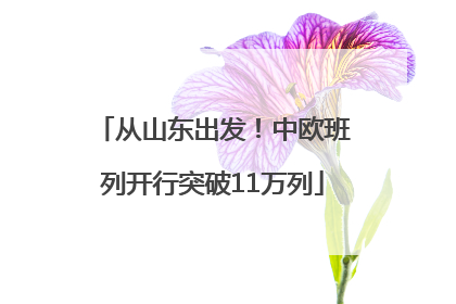 从山东出发！中欧班列开行突破11万列