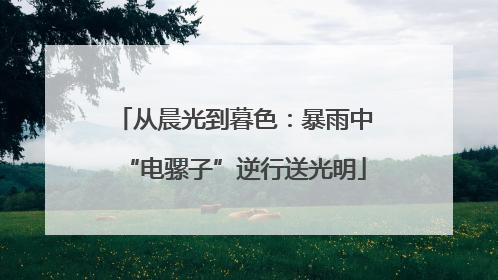 从晨光到暮色：暴雨中“电骡子”逆行送光明