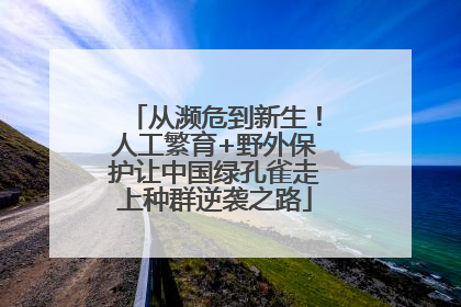 从濒危到新生！人工繁育+野外保护让中国绿孔雀走上种群逆袭之路