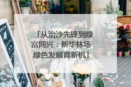从治沙先锋到绿富同兴：新华林场绿色发展育新机