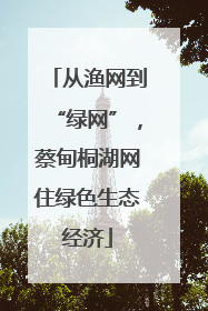 从渔网到“绿网”，蔡甸桐湖网住绿色生态经济