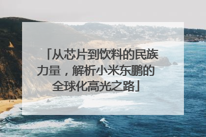 从芯片到饮料的民族力量，解析小米东鹏的全球化高光之路