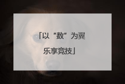 以“数”为翼 乐享竞技