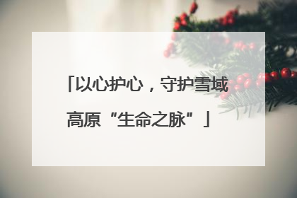 以心护心，守护雪域高原“生命之脉”