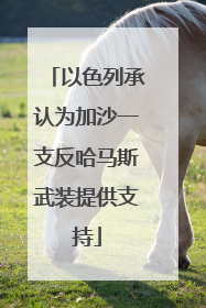 以色列承认为加沙一支反哈马斯武装提供支持