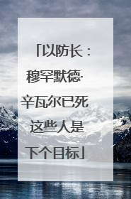 以防长：穆罕默德·辛瓦尔已死 这些人是下个目标