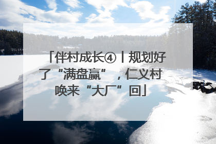 伴村成长④丨规划好了“满盘赢”，仁义村唤来“大厂”回