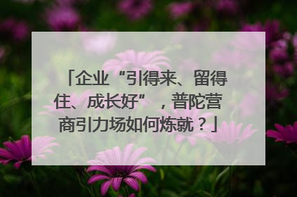企业“引得来、留得住、成长好”，普陀营商引力场如何炼就？