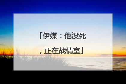 伊媒：他没死，正在战情室
