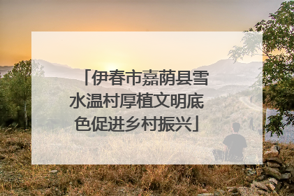 伊春市嘉荫县雪水温村厚植文明底色促进乡村振兴