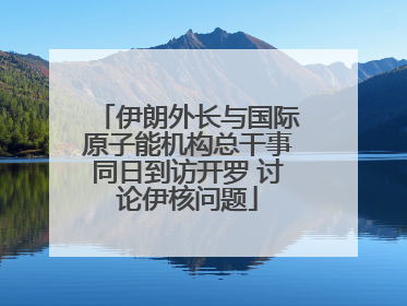 伊朗外长与国际原子能机构总干事同日到访开罗 讨论伊核问题