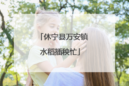 休宁县万安镇水稻插秧忙